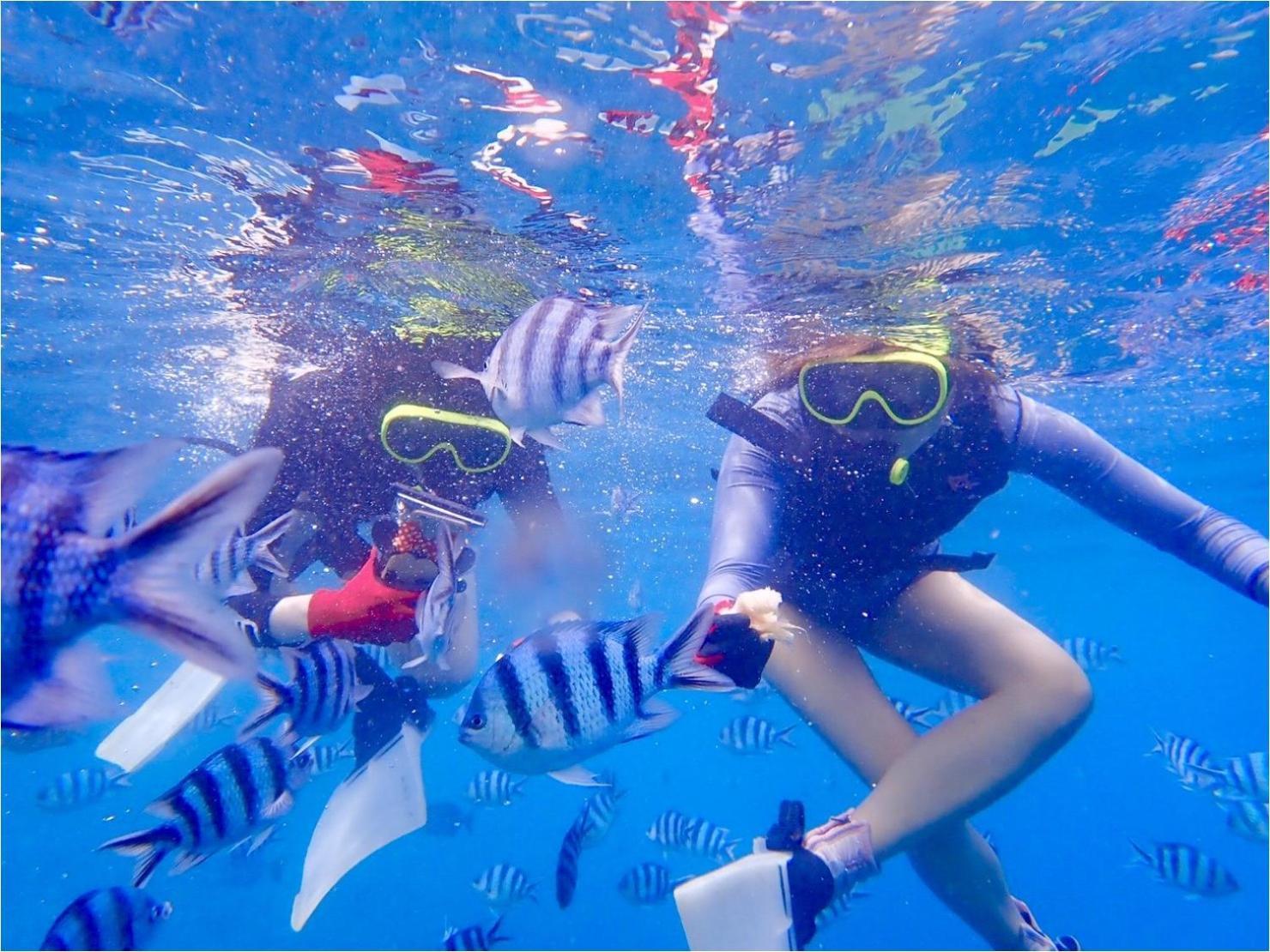 グランディオーソ沖縄ヴィラ金武1 Okinawa Exteriér fotografie